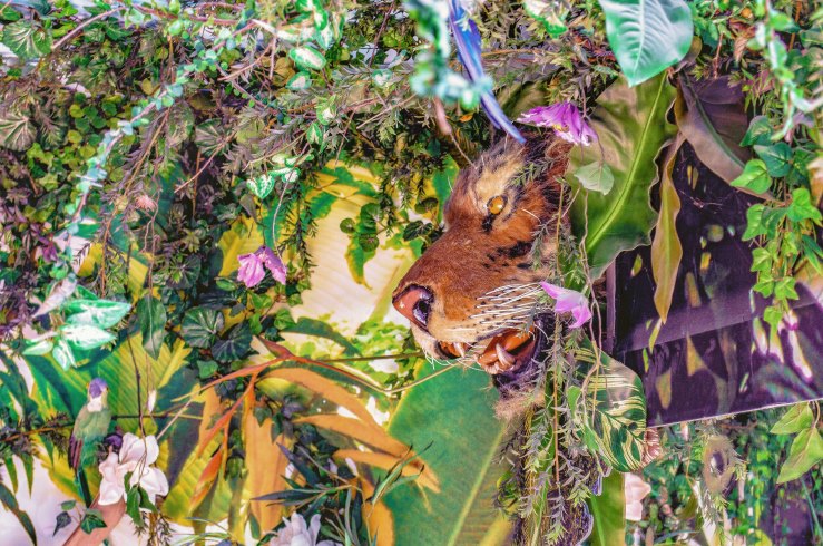 Aufwendig gestaltete Tier und Pflanzennachbildungen verstärken die entspannende Dschungelatmosphäre in unserem Wartebereich